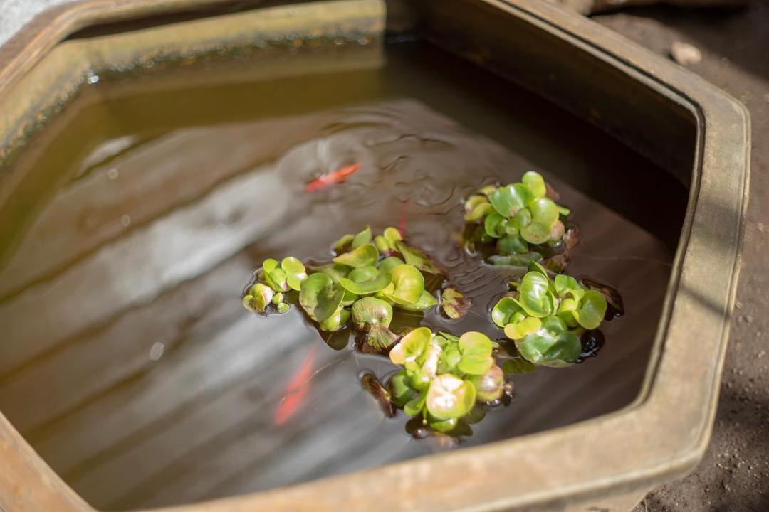 Ryokan Inami มิโตะ ภายนอก รูปภาพ